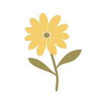A yellow flower with leaves on a white background vector