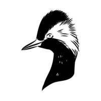 head of a toadstool duck sketch vector