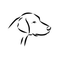 Dog head silhouette on white background vector