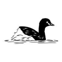 duck grebe black and white sketch vector