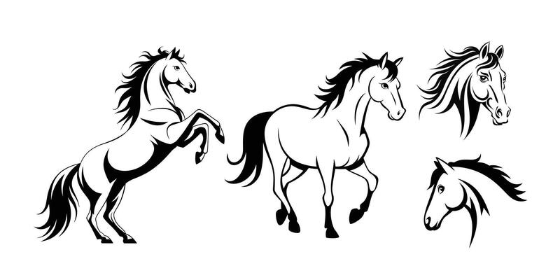 Elegant Black and White Horse Silhouettes Set for Stunning Designs on a White Background. jumping horse, running horse, head shot