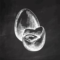 Hand drawn vintage chalk sketch of an Easter egg on chalkboard vector