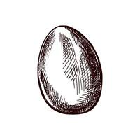 Hand drawn vintage sketch of an Easter egg with texture vector