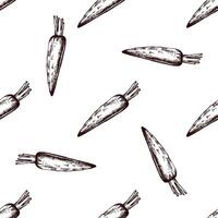 Hand drawn vintage seamless pattern of rustic carrots vector