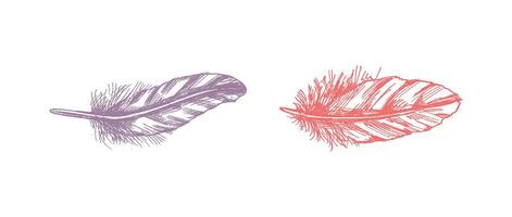 Hand drawn boho style colored feather set for artistic and decorative design projects vector