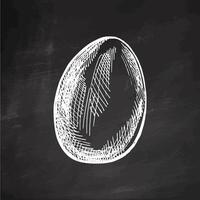 Hand-drawn vintage chalk sketch of an Easter egg on chalkboard vector