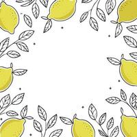 lemon pattern with copy space vector