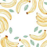 hand drawn style banana pattern with copy space vector