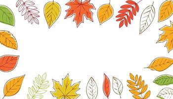 autumn landscape pattern of colorful leaves with copy space vector
