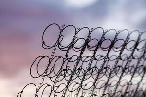 Metal wire garbage outdoors photo