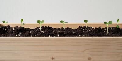 Tiny green sprouts emerging from fresh soil in a wooden planter box for gardening inspiration photo