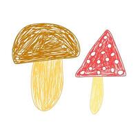 Simple hand-drawn sketch of two mushrooms, one brown and one red with white spots, on a white background. vector