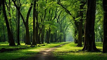 biodiversity save trees photo