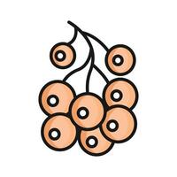 Bunch of berries in trendy design style vector