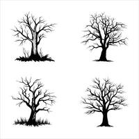 Ancient Woodlands Mystical Tree Illustrations Set vector