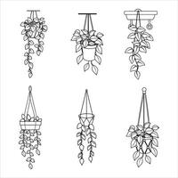 From Boho To Minimalist Hanging Plants For Every Style vector