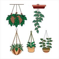 Greenery In The Air The Best Hanging Plants For Small Spaces vector