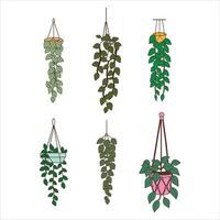 Lush and Lofty The Magic of Hanging Plants vector