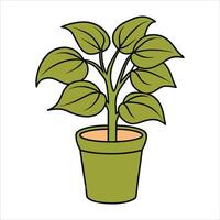 Leafy Canopies How To Create A Stunning Hanging Plant Display vector