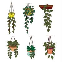 Floating Gardens Transform Your Space with Hanging Planters vector