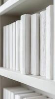 Minimalist interior design concept. Pristine white books arrangement photo