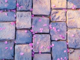 Minimalist aerial view of stone pathway with pink petals for design inspiration photo