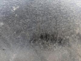 ice, sheet, freezing, cold, white, photo