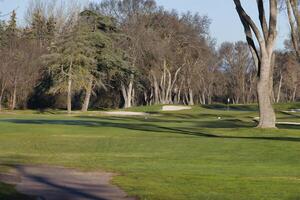 recreation, grass, trees, green, recreation, view, photo