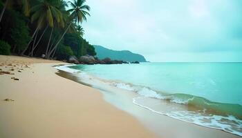a beach with waves and palm trees on the shore photo