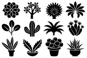 Set of Black Silhouettes of Houseplants vector