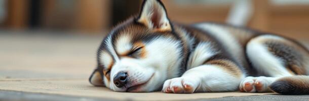 Cute puppy sleeping peacefully on soft surface in warm, cozy indoor environment photo