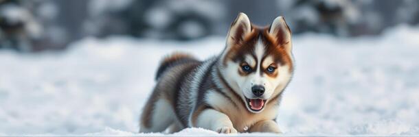 Playful husky puppy enjoys winter snow, capturing the joy of a snowy day in a serene landscape photo