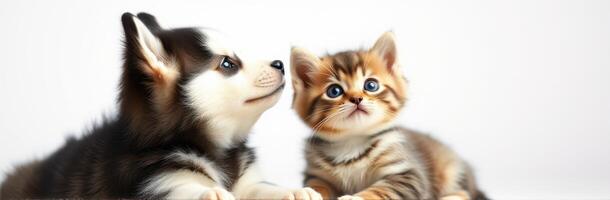 Playful puppy and curious kitten interact in a bright indoor setting filled with joy and innocence photo