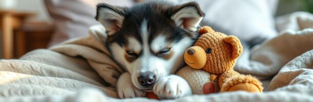 Cute puppy rests peacefully beside a fluffy teddy bear on a cozy blanket in a warm indoor setting photo