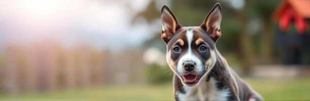 Cute Joyful Puppy Smiling in Sunlit Garden - Adorable Brown Fur Canine with Playful Expression in Nature Background photo