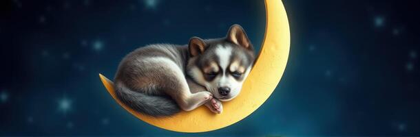 Cute Puppy Sleeping Under a Crescent Moon in a Dreamy Night Sky Illustration photo