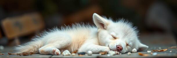 Sleeping Fennec Fox in Nature - Adorable Fluffy White Fur Relaxing Peacefully in a Calm Sunny Outdoor Setting photo
