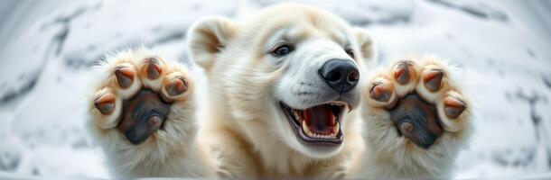 Polar Bear Cub Captivating Close-Up in Snowy Arctic Wildlife Scene photo