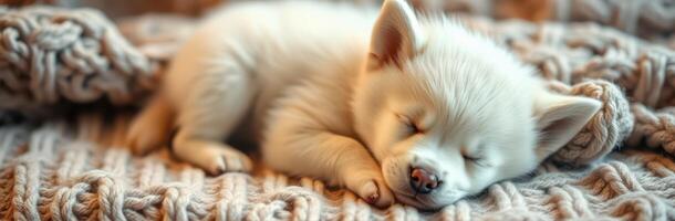 Cute White Puppy Sleeping on Knitted Blanket - Adorable Furry Pet Portrait in Cozy Scene photo