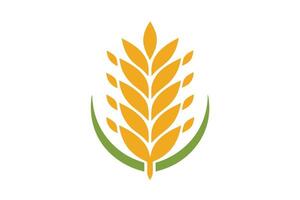 Simple graphic of a golden wheat ear on a white background. vector