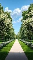 A romantic spring trail in a European park with trees forming an arch of fresh green leaves and blooming flowers along the sides of the path photo