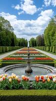A springtime scene of Viennas Schonbrunn Palace Gardens with perfectly manicured hedges tulip beds in bright colors and a grand fountain photo