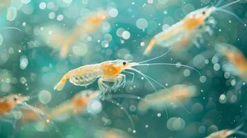 Brightly colored shrimp are swimming through crystal clear water, surrounded by glimmering bubbles in a vibrant underwater habitat that reflects sunlight. photo