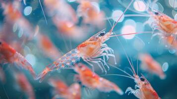 Shrimp swim amid a bright underwater environment, showcasing their vibrant colors and delicate movements as they navigate through shimmering water. photo