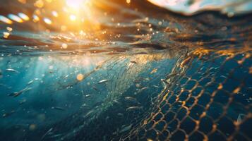 Sunlight filters through the water as a group of small fish swims around a fishing net, creating a dynamic underwater scene in the sea during morning light. photo