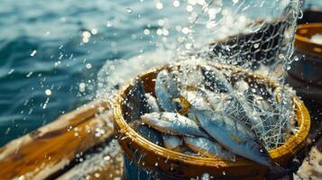 Fishermen are catching fresh fish in a wooden bucket, while splashes of water rise from the fishing net on a bright day near the shoreline. photo