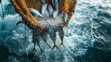 A fisherman on a boat hauls a wicker basket filled with freshly caught fish, generating splashes as morning light sparkles on the water's surface in the open sea. photo
