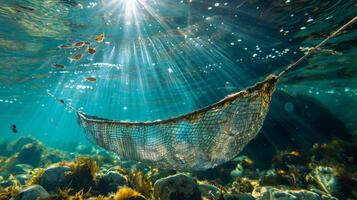 A net suspended underwater captures small fish as sunlight filters through the water, illuminating aquatic plants and creating a peaceful atmosphere in a vibrant ecosystem. photo