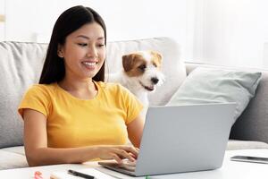 Pretty young asian lady student in casual sitting at table in living room at home, using modern laptop, taking notes, doing homework with her pet fluffy jack russel terrier, copy space photo