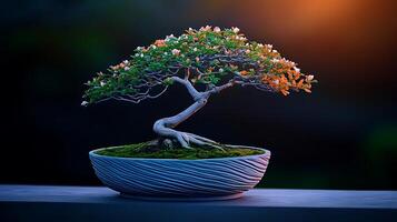 A beautifully arranged bonsai tree with blooming flowers in a serene setting at sunset photo